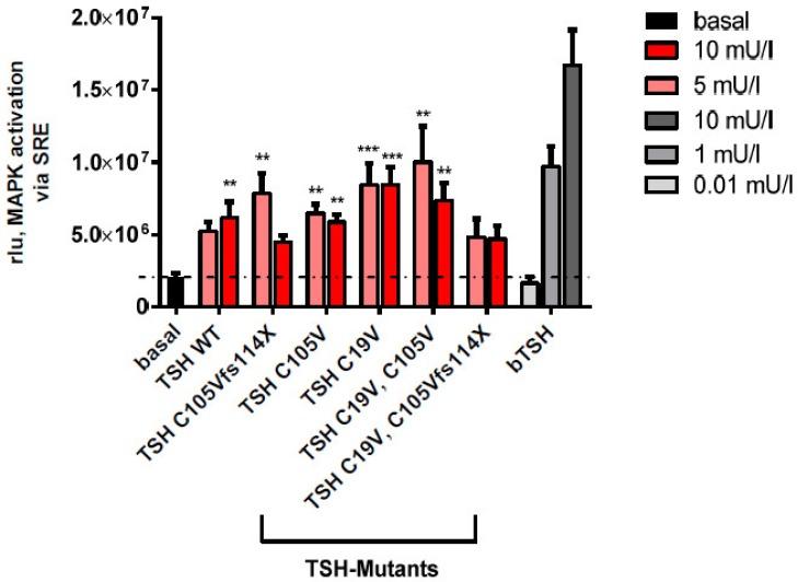 https://cdn.ncbi.nlm.nih.gov/pmc/blobs/2ebe/6888357/5bb5fcd0b534/ijms-20-05564-g006.jpg