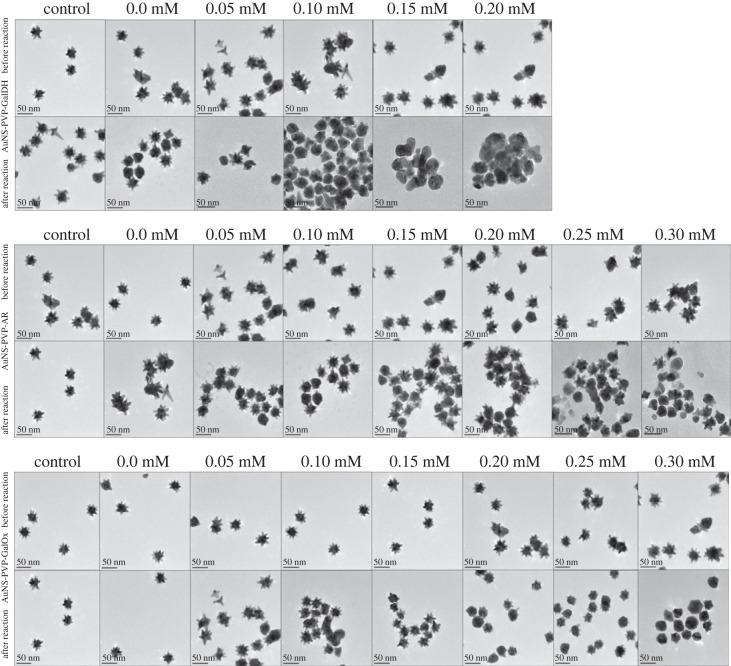 https://cdn.ncbi.nlm.nih.gov/pmc/blobs/2ebf/10565372/370f258cb8a1/rsos230825f06.jpg