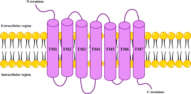 https://cdn.ncbi.nlm.nih.gov/pmc/blobs/2ec0/11436528/b434d004a038/12672_2024_1356_Fig4_HTML.jpg