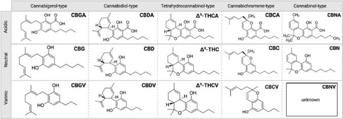 https://cdn.ncbi.nlm.nih.gov/pmc/blobs/2ec0/11436528/ed49e97c453d/12672_2024_1356_Fig1_HTML.jpg