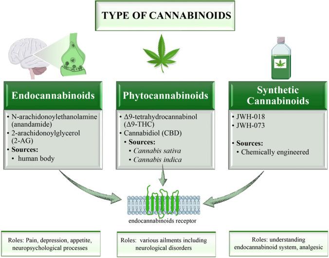 https://cdn.ncbi.nlm.nih.gov/pmc/blobs/2ec0/11436528/f9d9409c1434/12672_2024_1356_Fig2_HTML.jpg