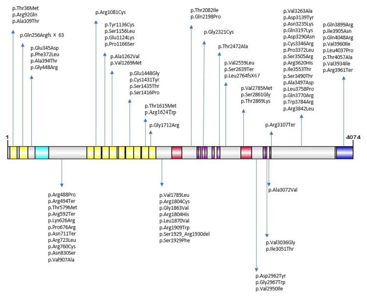 https://cdn.ncbi.nlm.nih.gov/pmc/blobs/2ec1/11518325/e42da615e437/tjmed-54-05-1135f1.jpg
