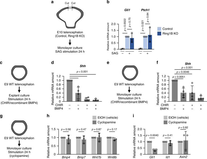 https://cdn.ncbi.nlm.nih.gov/pmc/blobs/2ec1/7658352/5f9713a12429/41467_2020_19556_Fig7_HTML.jpg