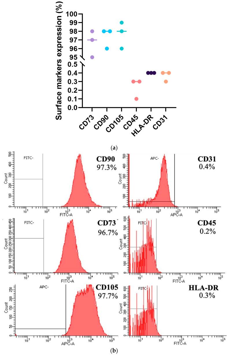 https://cdn.ncbi.nlm.nih.gov/pmc/blobs/2ec3/11394957/3302fd572d7f/ijms-25-09647-g003.jpg