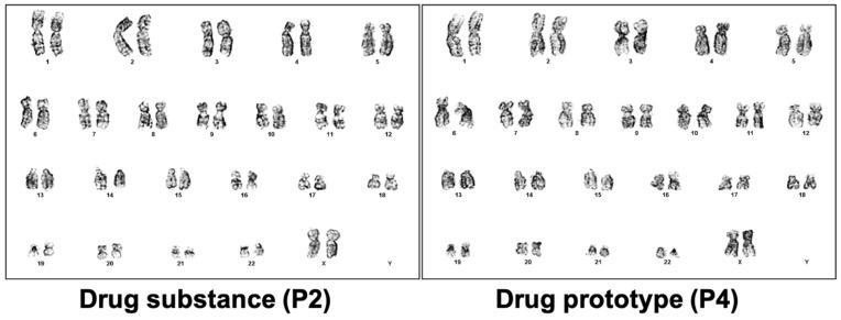 https://cdn.ncbi.nlm.nih.gov/pmc/blobs/2ec3/11394957/3ef1982917e3/ijms-25-09647-g004.jpg