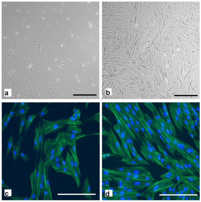 https://cdn.ncbi.nlm.nih.gov/pmc/blobs/2ec3/11394957/5c1e69eec561/ijms-25-09647-g002.jpg