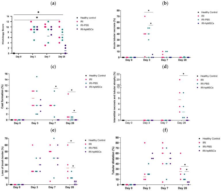 https://cdn.ncbi.nlm.nih.gov/pmc/blobs/2ec3/11394957/6f903fae6c42/ijms-25-09647-g009a.jpg
