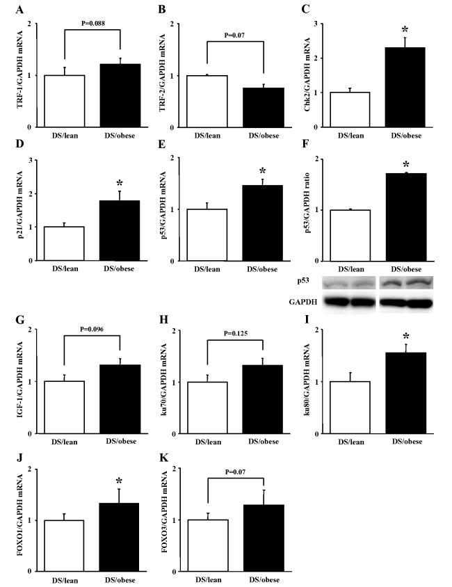 https://cdn.ncbi.nlm.nih.gov/pmc/blobs/2ec3/4345737/0cb9f97956c5/2186-3326-76-0035-g003.jpg
