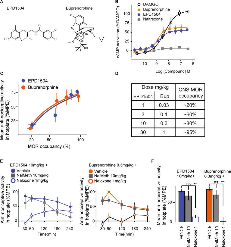 https://cdn.ncbi.nlm.nih.gov/pmc/blobs/2ec6/10349350/f83ad036ca73/fpsyt-14-1170541-g001.jpg