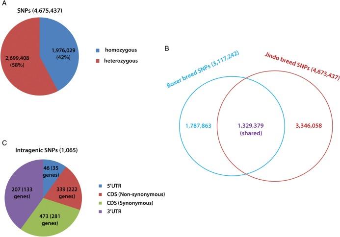 https://cdn.ncbi.nlm.nih.gov/pmc/blobs/2ec8/3372376/ece389e6042f/dss01101.jpg