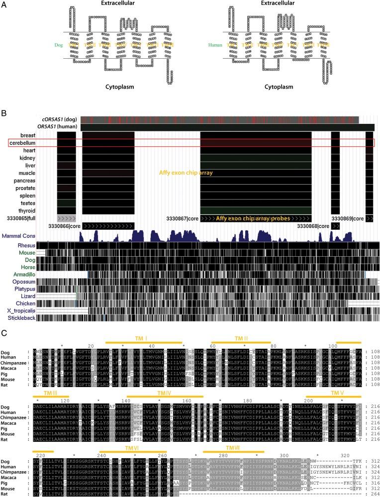 https://cdn.ncbi.nlm.nih.gov/pmc/blobs/2ec8/3372376/f22dfbdc61fa/dss01103.jpg