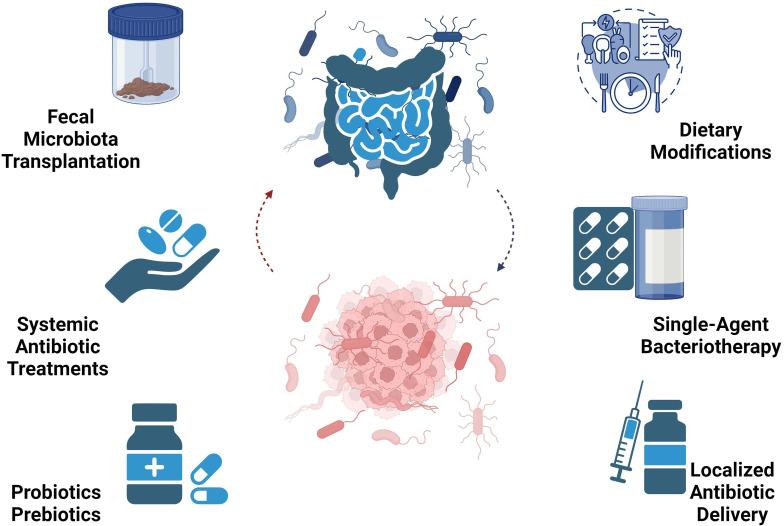 https://cdn.ncbi.nlm.nih.gov/pmc/blobs/2eca/11263025/40195fb6e02b/fimmu-15-1434771-g003.jpg