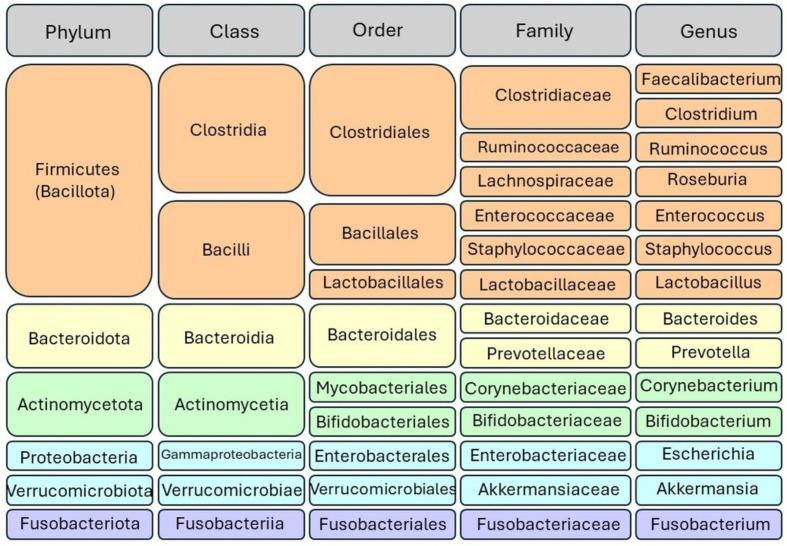 https://cdn.ncbi.nlm.nih.gov/pmc/blobs/2eca/11263025/6a5108bff41a/fimmu-15-1434771-g001.jpg