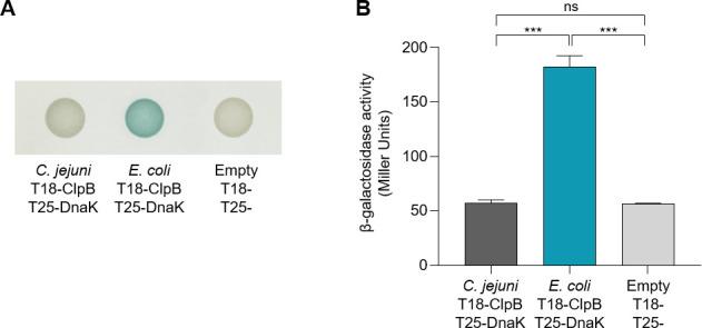 https://cdn.ncbi.nlm.nih.gov/pmc/blobs/2eca/12131804/b23fd9ed1558/spectrum.02293-24.f003.jpg