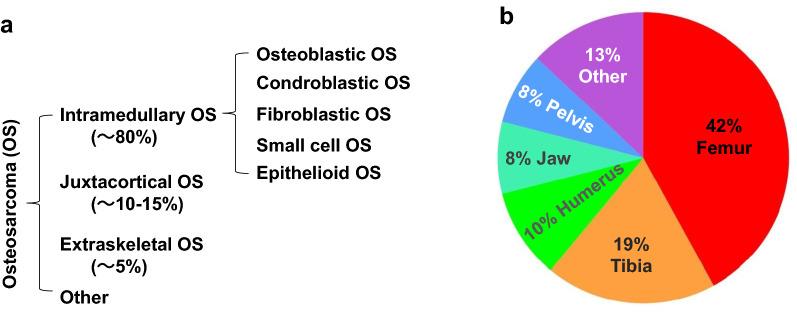 https://cdn.ncbi.nlm.nih.gov/pmc/blobs/2ecb/8141200/f26c6864eae6/13578_2021_600_Fig1_HTML.jpg