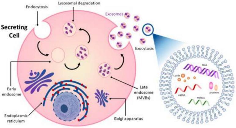 https://cdn.ncbi.nlm.nih.gov/pmc/blobs/2ecc/12087048/44f5f1f4138a/40001_2025_2649_Fig2_HTML.jpg