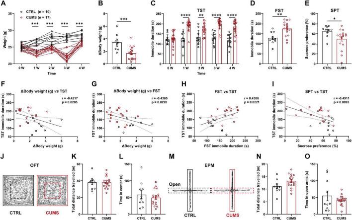 https://cdn.ncbi.nlm.nih.gov/pmc/blobs/2ecc/12331707/777ca545c85e/fnins-19-1629351-g001.jpg