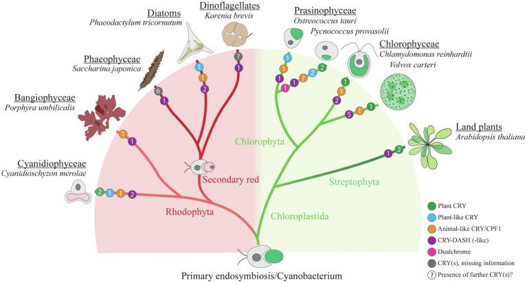 https://cdn.ncbi.nlm.nih.gov/pmc/blobs/2ecc/8591175/ca3c73212758/fpls-12-766509-g003.jpg
