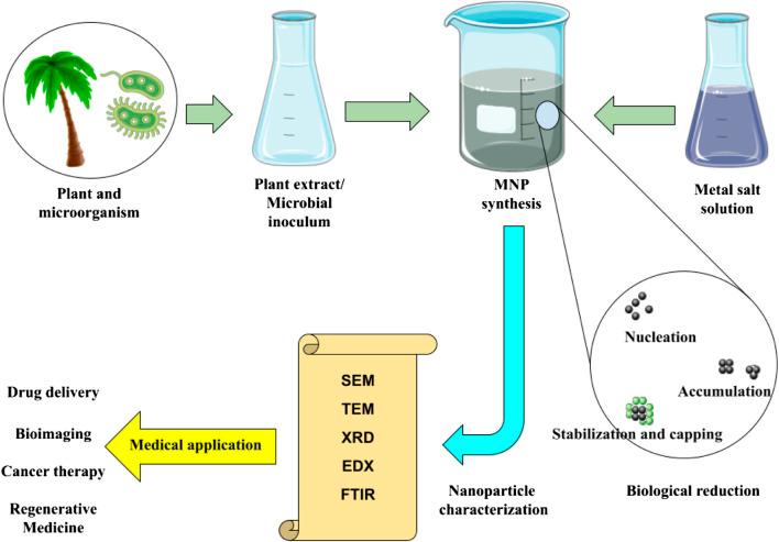 https://cdn.ncbi.nlm.nih.gov/pmc/blobs/2ecf/10499493/03237eb38d7b/fchem-11-1249134-g001.jpg