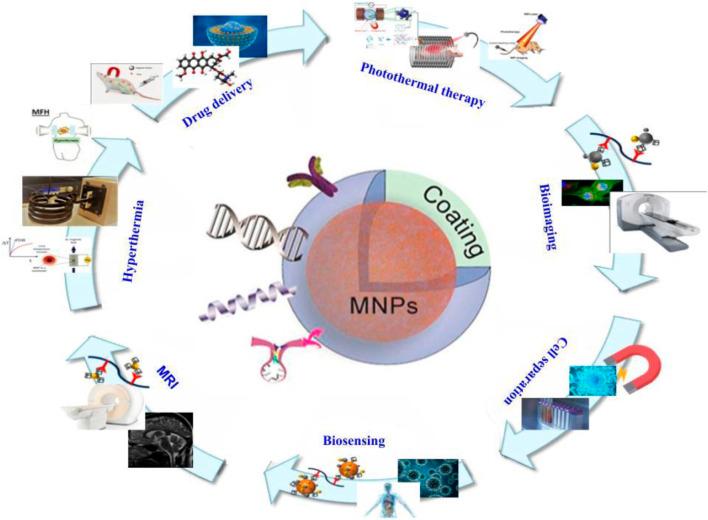 https://cdn.ncbi.nlm.nih.gov/pmc/blobs/2ecf/10499493/666613af0467/fchem-11-1249134-g003.jpg