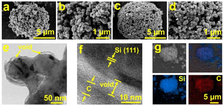 https://cdn.ncbi.nlm.nih.gov/pmc/blobs/2ecf/10976018/2e192a4b0617/molecules-29-01301-g001.jpg