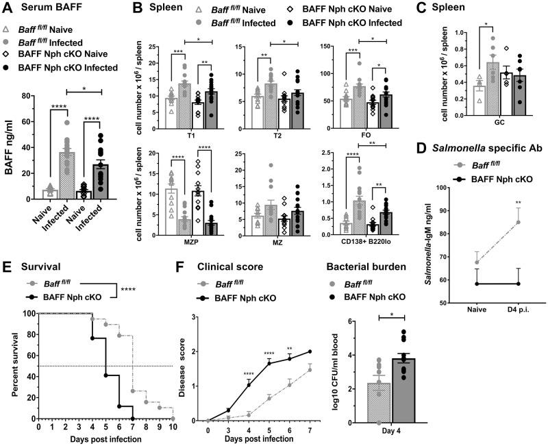 https://cdn.ncbi.nlm.nih.gov/pmc/blobs/2ecf/8550399/0cfdebc67793/pone.0259158.g006.jpg