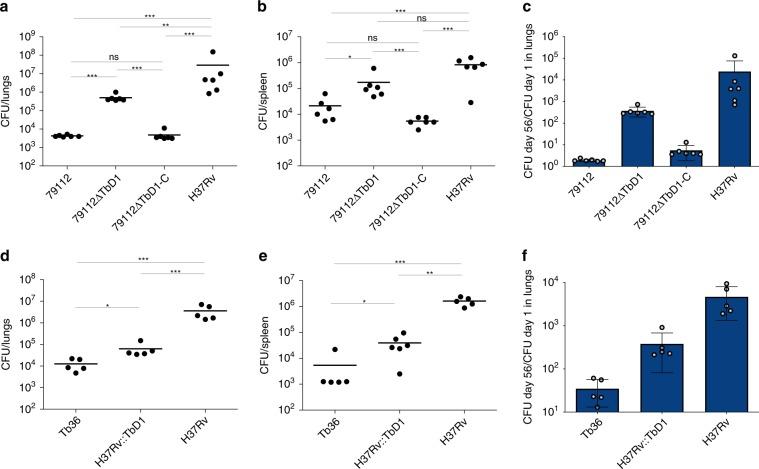 https://cdn.ncbi.nlm.nih.gov/pmc/blobs/2ed0/7000671/04ce5580ccb9/41467_2020_14508_Fig5_HTML.jpg