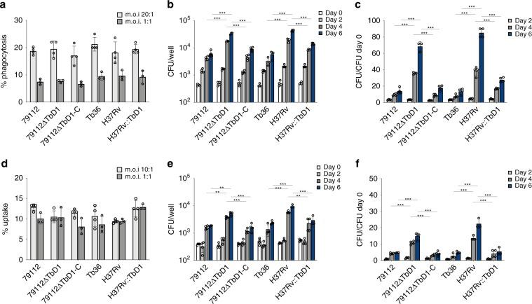 https://cdn.ncbi.nlm.nih.gov/pmc/blobs/2ed0/7000671/82aa556af51c/41467_2020_14508_Fig4_HTML.jpg