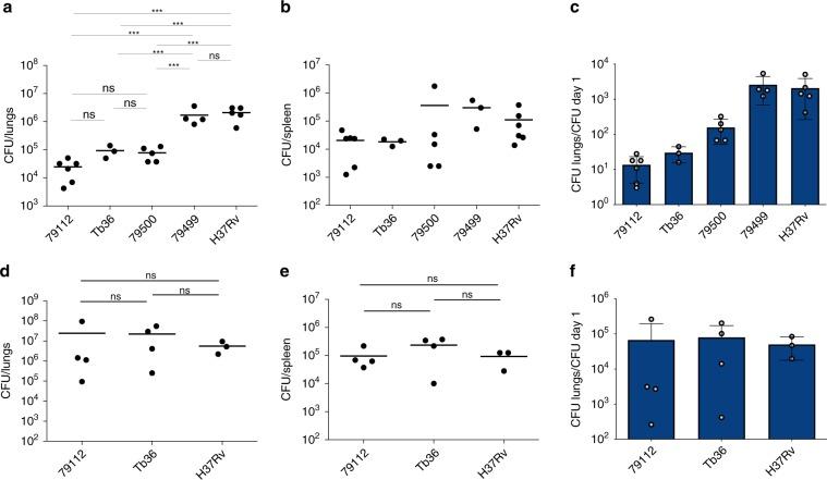 https://cdn.ncbi.nlm.nih.gov/pmc/blobs/2ed0/7000671/f264f9147c49/41467_2020_14508_Fig2_HTML.jpg