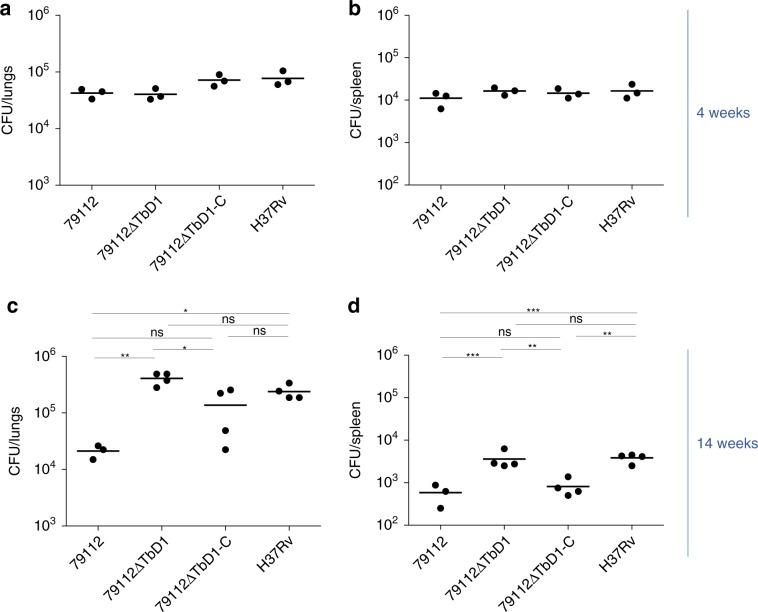 https://cdn.ncbi.nlm.nih.gov/pmc/blobs/2ed0/7000671/f6b7d73abcd6/41467_2020_14508_Fig6_HTML.jpg