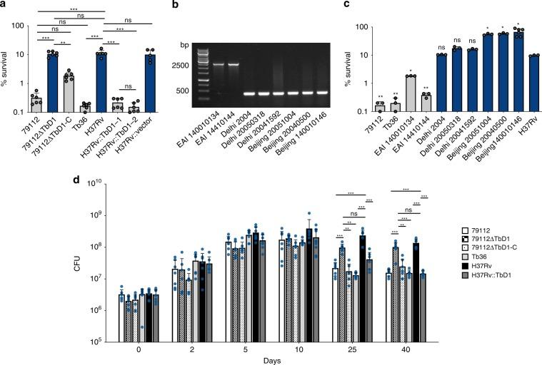 https://cdn.ncbi.nlm.nih.gov/pmc/blobs/2ed0/7000671/fc270e5d442d/41467_2020_14508_Fig7_HTML.jpg