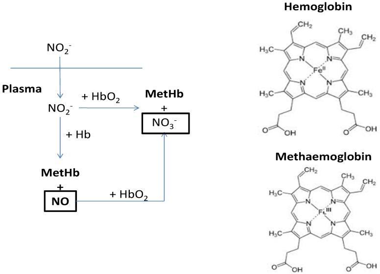 https://cdn.ncbi.nlm.nih.gov/pmc/blobs/2ed1/4011049/690dc1c7d9a6/nutrients-06-01519-g002.jpg