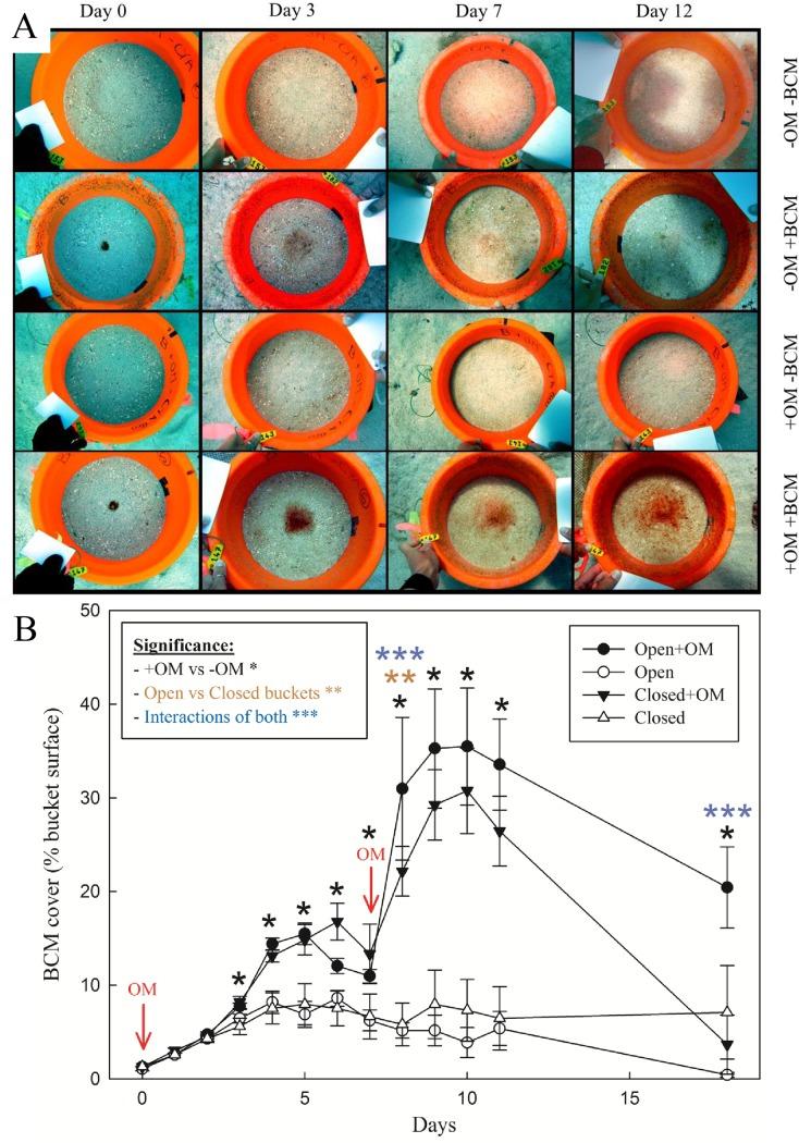 https://cdn.ncbi.nlm.nih.gov/pmc/blobs/2ed1/4420485/58a5de499d85/pone.0125445.g004.jpg