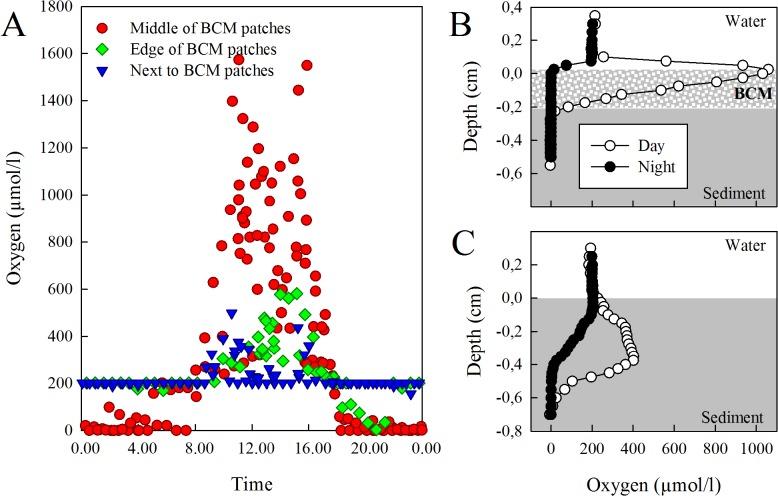 https://cdn.ncbi.nlm.nih.gov/pmc/blobs/2ed1/4420485/7bc6afac29f5/pone.0125445.g005.jpg