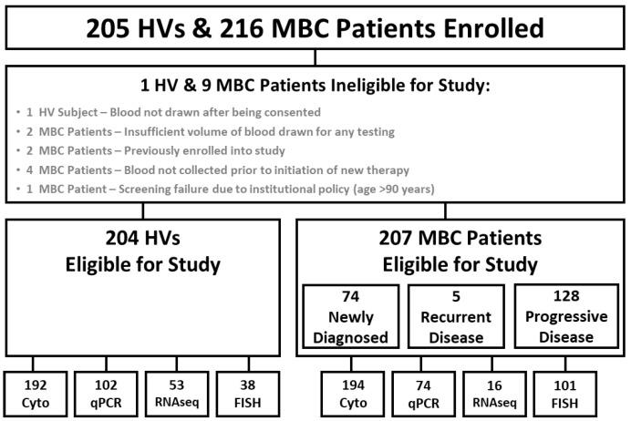 https://cdn.ncbi.nlm.nih.gov/pmc/blobs/2ed4/9656921/2d1aa177cbe3/cancers-14-05238-g001.jpg