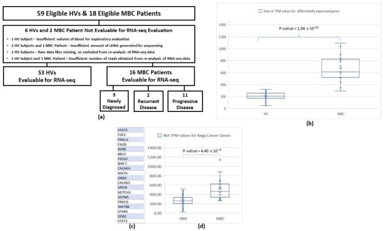 https://cdn.ncbi.nlm.nih.gov/pmc/blobs/2ed4/9656921/b59c42320530/cancers-14-05238-g005.jpg
