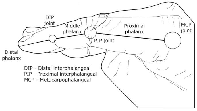 https://cdn.ncbi.nlm.nih.gov/pmc/blobs/2ed5/10669745/e32c4cf78872/bioengineering-10-01328-g002.jpg