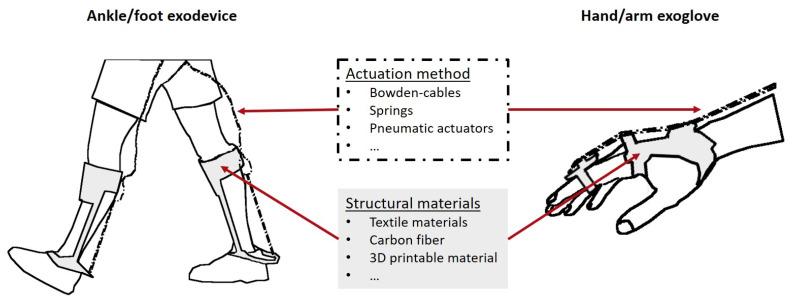 https://cdn.ncbi.nlm.nih.gov/pmc/blobs/2ed5/10669745/ef2da987a451/bioengineering-10-01328-g010.jpg