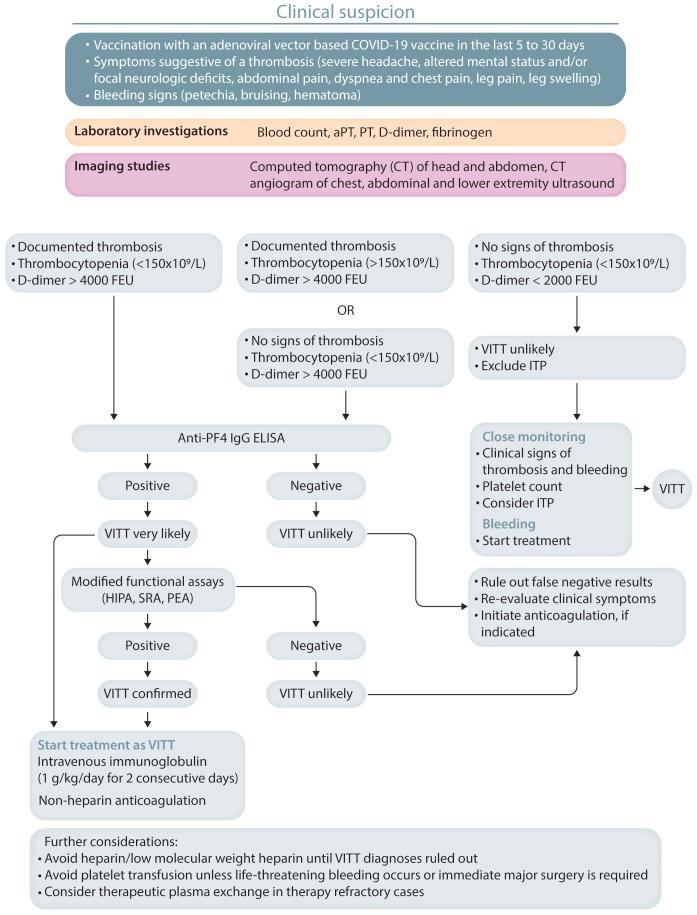 https://cdn.ncbi.nlm.nih.gov/pmc/blobs/2ed7/9152960/302b70eef85c/1071264.fig4.jpg