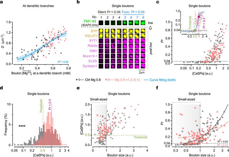 https://cdn.ncbi.nlm.nih.gov/pmc/blobs/2eda/11035601/91ee8dec7ee7/41467_2024_47571_Fig5_HTML.jpg