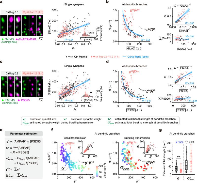 https://cdn.ncbi.nlm.nih.gov/pmc/blobs/2eda/11035601/9dbda65e01fe/41467_2024_47571_Fig2_HTML.jpg