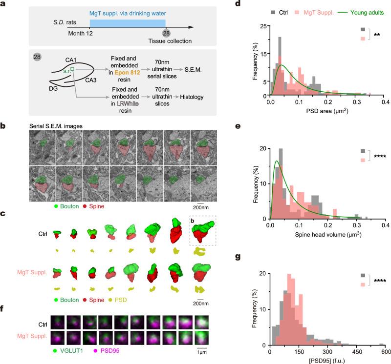 https://cdn.ncbi.nlm.nih.gov/pmc/blobs/2eda/11035601/b684be457519/41467_2024_47571_Fig7_HTML.jpg