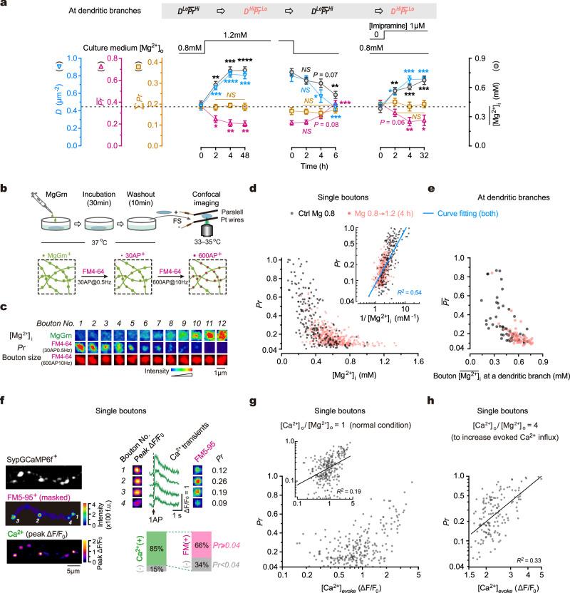 https://cdn.ncbi.nlm.nih.gov/pmc/blobs/2eda/11035601/b950d20a5fa5/41467_2024_47571_Fig4_HTML.jpg