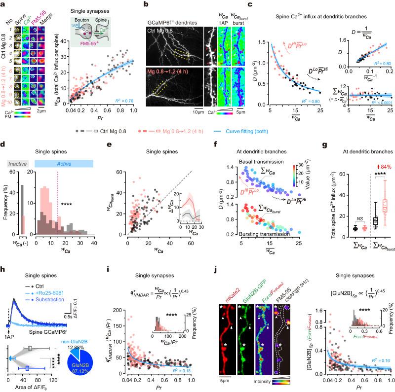 https://cdn.ncbi.nlm.nih.gov/pmc/blobs/2eda/11035601/dab74c263532/41467_2024_47571_Fig3_HTML.jpg