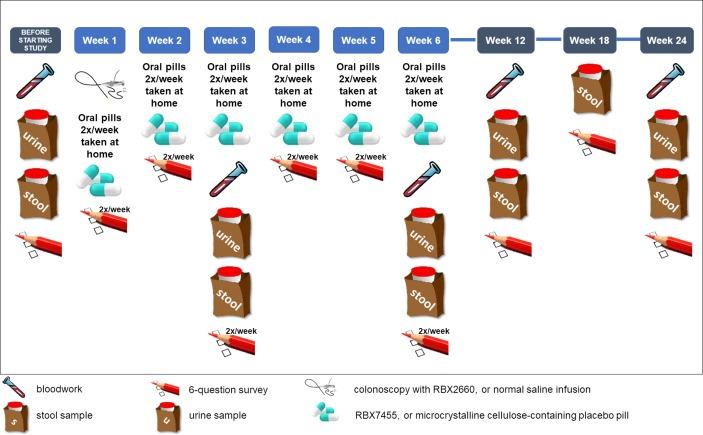 https://cdn.ncbi.nlm.nih.gov/pmc/blobs/2eda/6924772/bda70e3b71d2/bmjopen-2019-030120f02.jpg