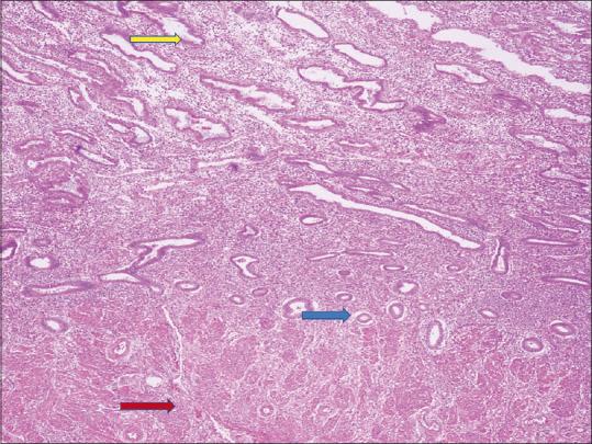 https://cdn.ncbi.nlm.nih.gov/pmc/blobs/2eda/8849152/5e647a6f6057/JMH-12-310-g001.jpg