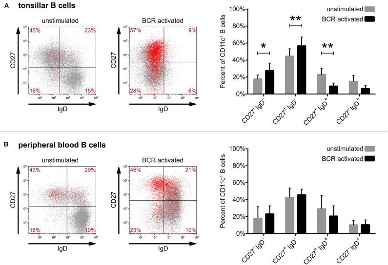 https://cdn.ncbi.nlm.nih.gov/pmc/blobs/2edc/7550640/6e18d2f84da1/fimmu-11-565458-g0003.jpg