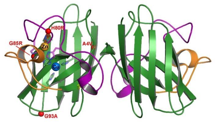 https://cdn.ncbi.nlm.nih.gov/pmc/blobs/2ede/7179120/9fba3473e924/molecules-25-01086-g001.jpg