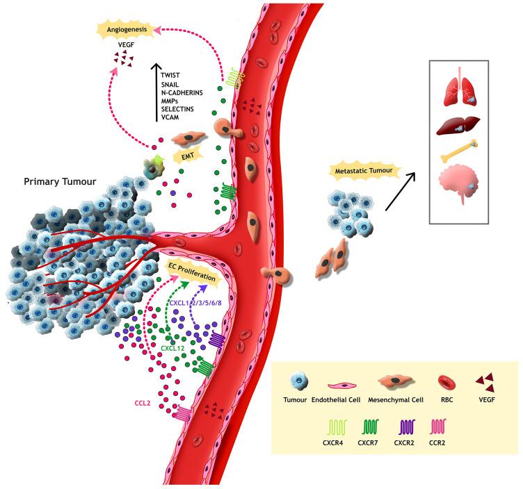 https://cdn.ncbi.nlm.nih.gov/pmc/blobs/2ee0/12367674/a4973b28d4cb/fimmu-16-1601756-g002.jpg