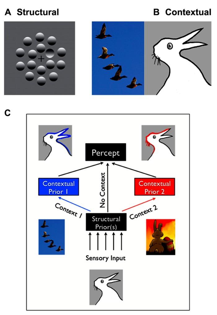 https://cdn.ncbi.nlm.nih.gov/pmc/blobs/2ee2/3807544/30b460b59afd/fnhum-07-00668-g001.jpg
